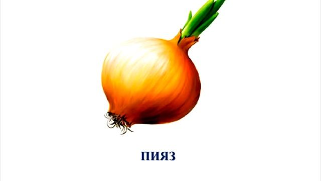 Көкөністер 2. Овощи. Урок казахского языка для дошкольников. Коконистер. Учимся играя.Казахский язы смотреть онлайн