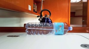 Сколько стоит перегон яхты #83