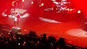 Диана Арбенина