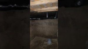 Влага в подполе