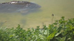 РЫБАЛКА НА УДОЧКУ