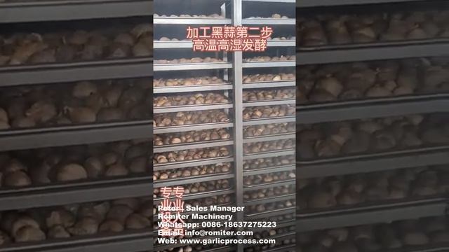 Как сделать черный чеснок на фабрике шаг за шагом смотреть онлайн