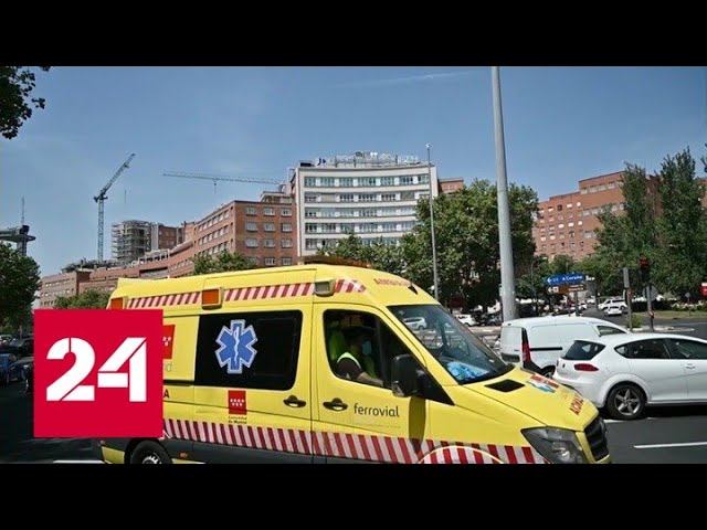 Новости. Вирус оспы приматов "воспользовался" отсутствием массовой вакцинации - Россия 24 