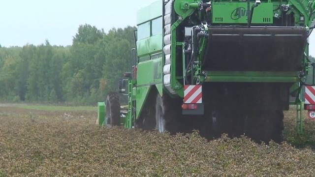 Уборка урожая картофеля 2021. Обзор картофелеуборочного комбайна от завода Колнаг видео.mp4 смотреть онлайн