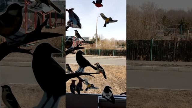 Название птиц на хакасском языке смотреть онлайн