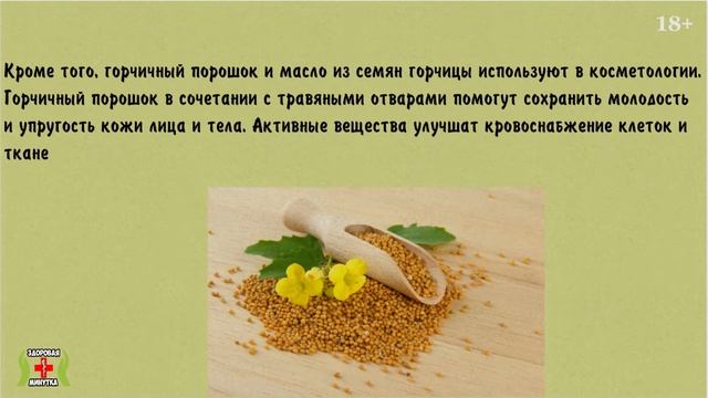 Даже горсть горчицы вызывает необратимые процессы в организме! Польза и вред горчицы для здоровья!