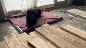 Строим сами🏠 Подшиваем потолок первого этажа.