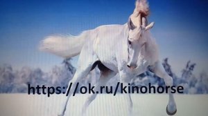Кино о Лошадях
