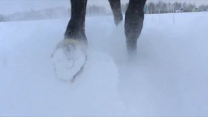 Саузово. Отдых круглый год. Активный отдых на свежем воздухе