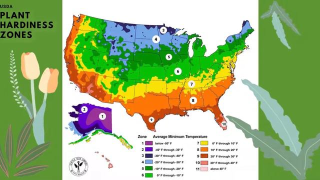 Module 4, Lesson 1: Gardening Zones смотреть онлайн