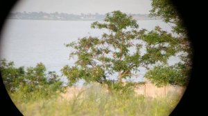 Сравнение картинки биноклей Bushnell 12х60 и БП 15х60