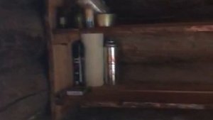 Изба на Пяозере №  338