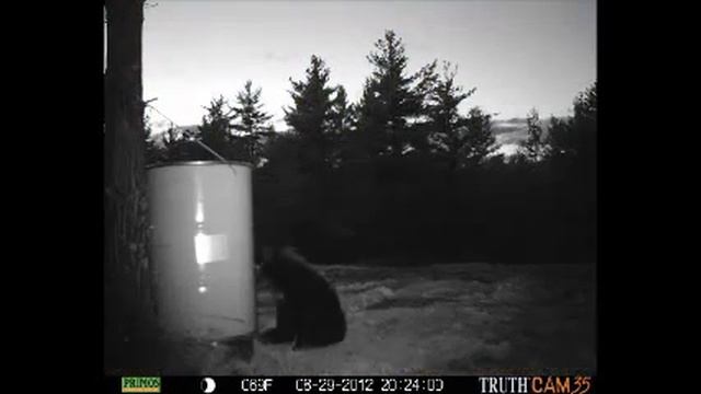 Сказка бочки смотреть онлайн