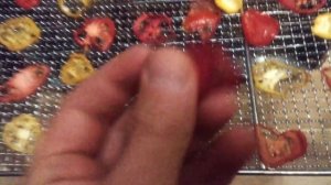 Профессиональный дегидратор RawMID Dream PRO -обзор и отзыв