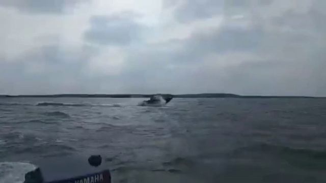 Лодка ПНД 460,  озеро Экостровская Имандра закрытие сезона