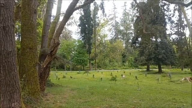 Пляж и Парк в пос. Агудзера. (10.05.2023) смотреть онлайн