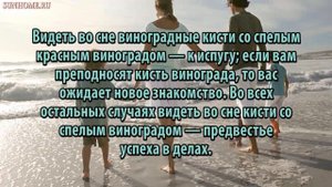 К чему снится Виноград, изюм, лоза сонник, толкование сна