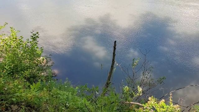 DASH TRAVEL St. Catharine , Ontario Canada смотреть онлайн