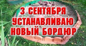 3 сентября. Устанавливаю новый бордюр на клумбу.mp4
