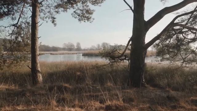 Я научу тебя останавливать время Сон Разума смотреть онлайн