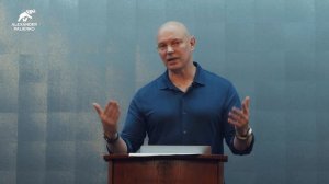 Компенсация нашей реализации. Александр Палиенко.