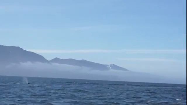 Хусавик Два кита на средней дистанции смотреть онлайн