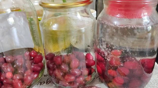 Компот из Кизила на зиму