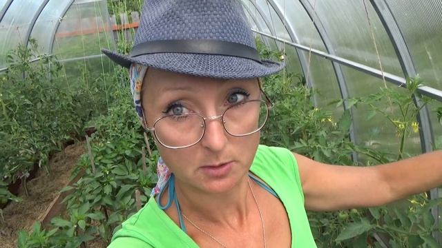 6 соток 1 июля. Проредим морковь, удобрим огурцы, навестим помидоры и домой печь пирог! смотреть онлайн