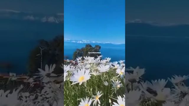 Мне нравится , что можно просто быть ...Сегодня, завтра ...Даст судьба и после...#красивыецитаты смотреть онлайн