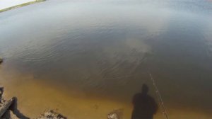 Pontoon21 Crackjack  98SP MR   09