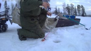 РЫБОЛОВНЫЙ  ПРОМОРОЗ)! Рыбалка на Шардозере! ТАЁЖНАЯ РЫБАЛКА! РЫБАЛКА НА СНЕГОХОДЕ!