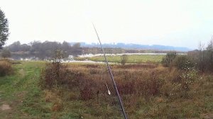 Сбирулино.Река.Учусь ловить.Sbirulino. River. I study lovit.