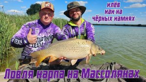 Карпфишинг в Беларуси. Ловля карпа на водоёме Массоляны.