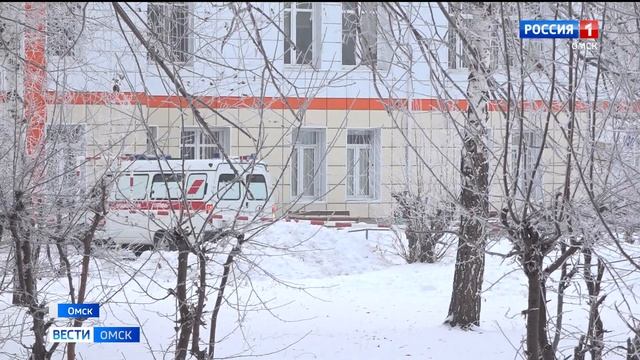 Бездомные собаки в Старом Кировске