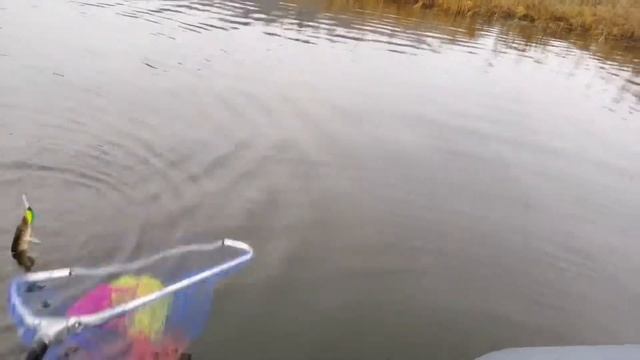 Истра, щука смотреть онлайн