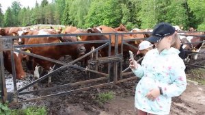 "Как я провёл лето в лагере"