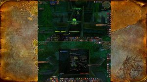 Получение Стремительных Ящера Раззаши и Зулианского тигра. Зул'Гуруб [Zul'Gurub]. WoW 3.3.5