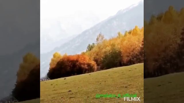 Осень в горах,Тляратинский район, Красоты Тляраты, р Дагестан,