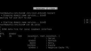 Установка и начальная настройка DNS Сервера BIND9