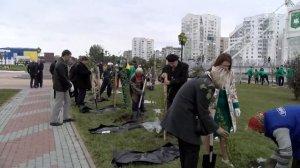 Аллея-памятник в честь 140-летия НИУ «БелГУ»