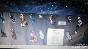 Игра CatWar. Коты - воители. Обзор локаций.