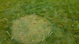 НЛМ! Неопознанный Летающий Мем! #инопланетяне #мемы #мем #школьник