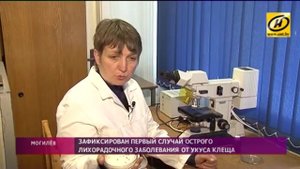 Чем опасен укус клеща?