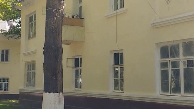 ТАШКЕНТ, ПРОГУЛКА ВДОЛЬ ЛУНАЧАРСКОГО ШОССЕ/ИПАК ЙУЛИ ОТ МЕЧЕТИ ДО НИЖНЕГО ВЕЩЕВОГО БАЗАРА