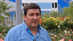 Розовое настроение. 5 выпуск