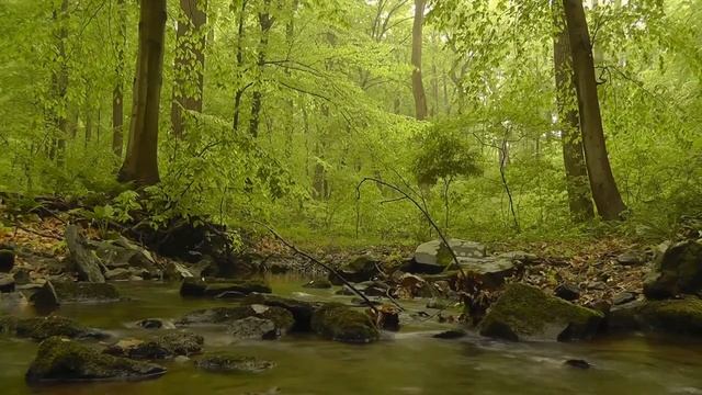 Слушать самую красивую мелодию перед сном. смотреть онлайн