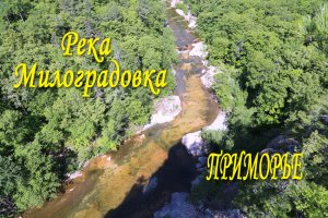 Река Милоградовка (дрон)