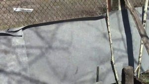 цветёт земляника (клубника)с розовым цветком 28 марта на высокой грядке