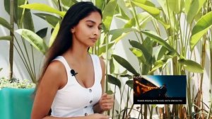 Реакция на Miyagi & Andy Panda - Там Ревели Горы • РЕАКЦИЯ ИНОСТРАНЦЕВ