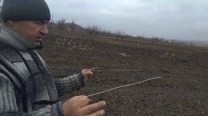 как найти самому воду для полива огорода , поля, дачи